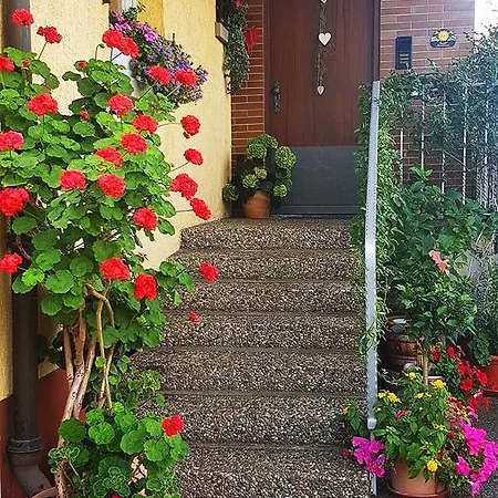 Apartmán Gemutliche In Bester Lage *
