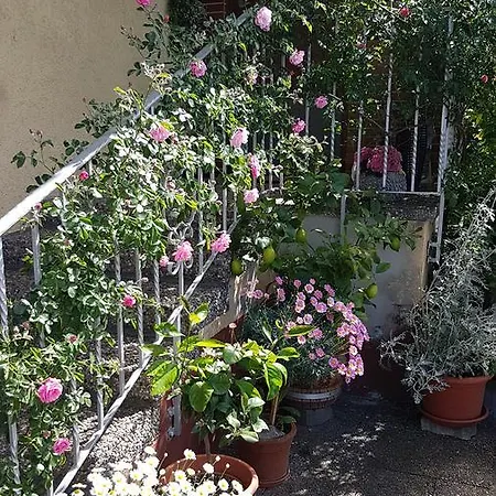 Gemutliche In Bester Lage Offenburg
